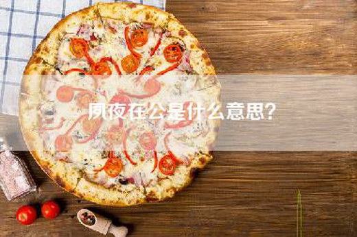 夙夜在公是什么意思？