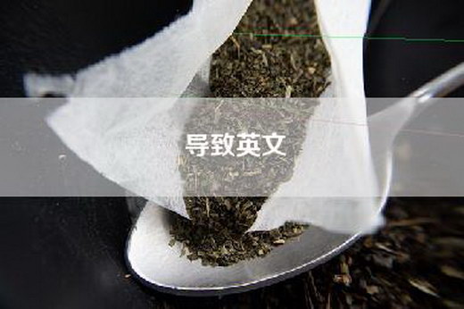 导致英文