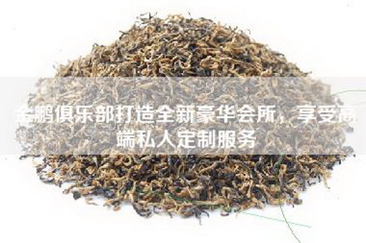 金鹏俱乐部打造全新豪华会所，享受高端私人定制服务