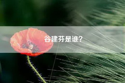 谷建芬是谁？
