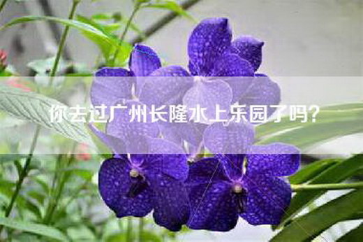 你去过广州长隆水上乐园了吗？