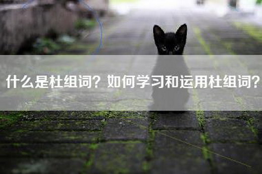 什么是杜组词？如何学习和运用杜组词？