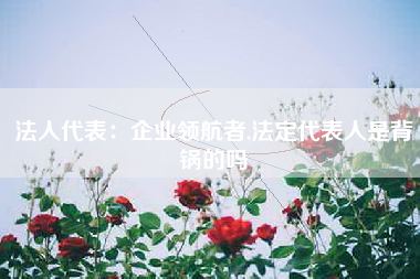 法人代表：企业领航者,法定代表人是背锅的吗