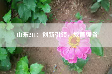 山东211：创新引领，教育强省