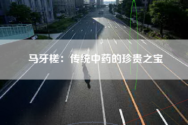 马牙槎：传统中药的珍贵之宝