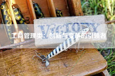 工商管理类：创新与变革的引领者