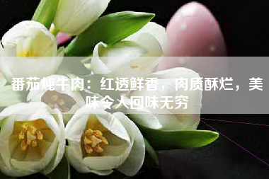 番茄炖牛肉：红透鲜香，肉质酥烂，美味令人回味无穷
