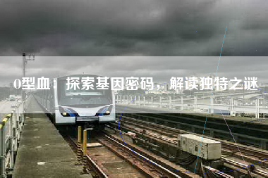 O型血：探索基因密码，解读独特之谜