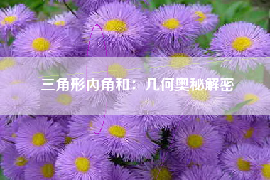 三角形内角和：几何奥秘解密