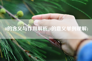 0的含义与作用解析(0的意义举例理解)