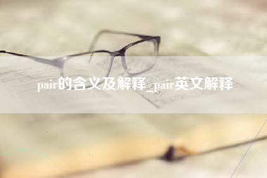 pair的含义及解释_pair英文解释