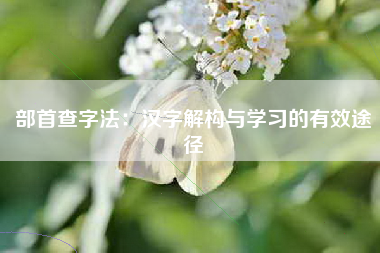 部首查字法：汉字解构与学习的有效途径
