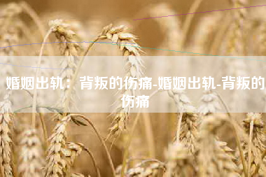 婚姻出轨：背叛的伤痛-婚姻出轨-背叛的伤痛