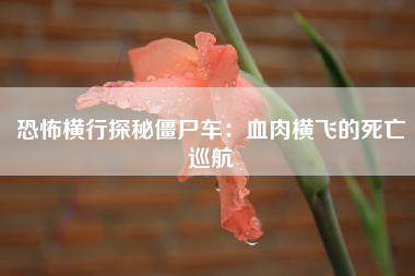 恐怖横行探秘僵尸车：血肉横飞的死亡巡航