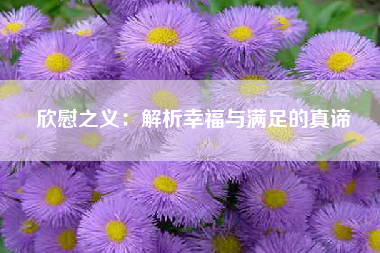 欣慰之义：解析幸福与满足的真谛