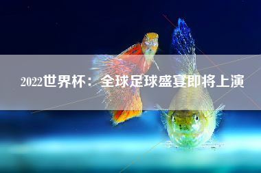 2022世界杯：全球足球盛宴即将上演