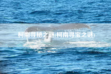 柯南寻秘之谜(柯南寻宝之谜)
