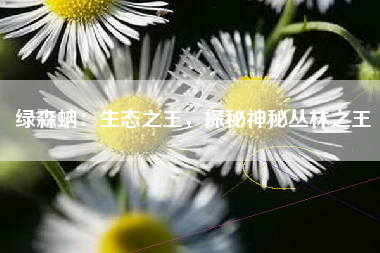 绿森蚺：生态之王，探秘神秘丛林之王