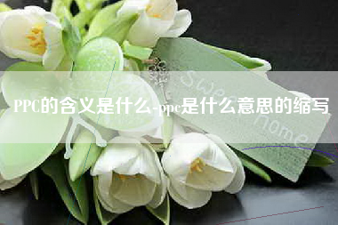PPC的含义是什么-ppc是什么意思的缩写