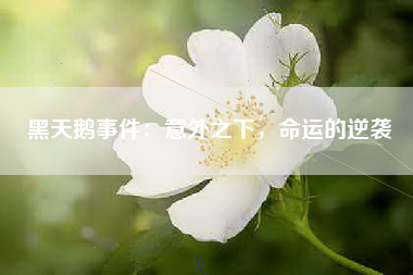 黑天鹅事件：意外之下，命运的逆袭
