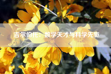 吉尔伯托：数学天才与科学先驱