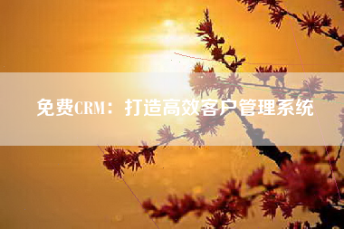 免费CRM：打造高效客户管理系统