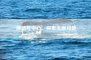 微信号中心，探索无限可能