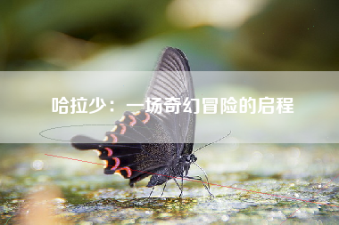 哈拉少：一场奇幻冒险的启程