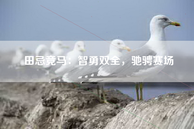田忌竞马：智勇双全，驰骋赛场