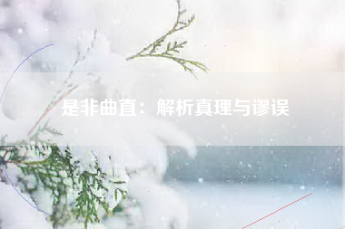 是非曲直：解析真理与谬误