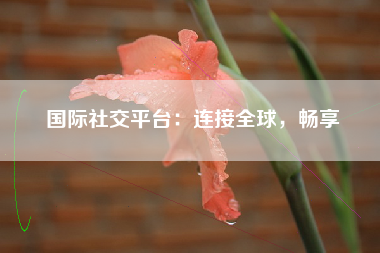国际社交平台：连接全球，畅享