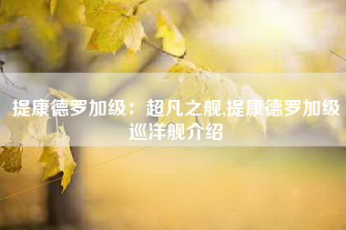 提康德罗加级：超凡之舰,提康德罗加级巡洋舰介绍