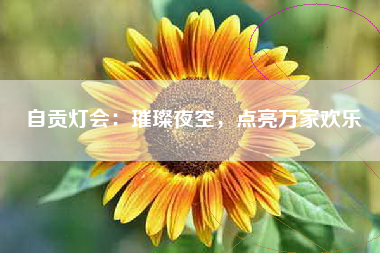 自贡灯会：璀璨夜空，点亮万家欢乐