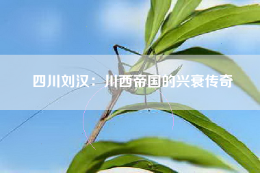 四川刘汉：川西帝国的兴衰传奇