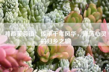 湘西芙蓉镇：传承千年风华，涤荡心灵的归乡之旅