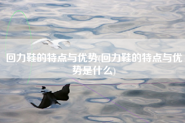 回力鞋的特点与优势(回力鞋的特点与优势是什么)