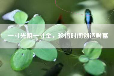 一寸光阴一寸金，珍惜时间创造财富
