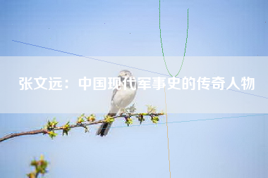 张文远：中国现代军事史的传奇人物