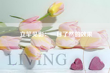 立竿见影：一目了然的效果