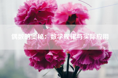 偶数的奥秘：数学规律与实际应用