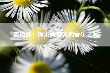 震楼器：探索新世界的音乐之源