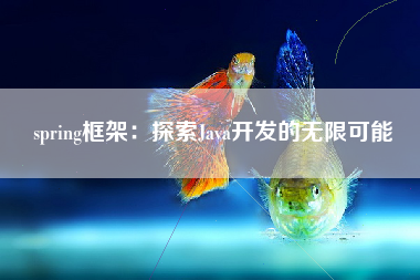 spring框架：探索Java开发的无限可能
