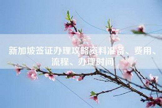 新加坡签证办理攻略资料准备、费用、流程、办理时间