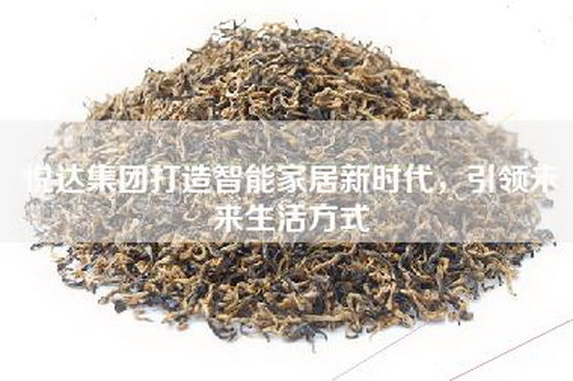 悦达集团打造智能家居新时代，引领未来生活方式