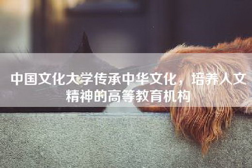 中国文化大学传承中华文化，培养人文精神的高等教育机构