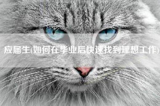 应届生(如何在毕业后快速找到理想工作)