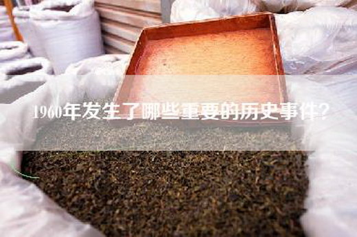 1960年发生了哪些重要的历史事件？