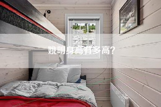 姚明身高有多高？
