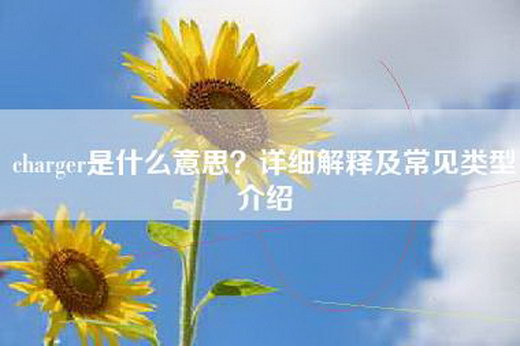 charger是什么意思？详细解释及常见类型介绍