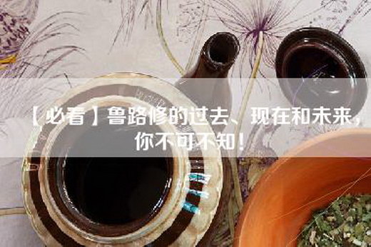 【必看】鲁路修的过去、现在和未来，你不可不知！